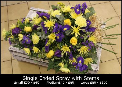 Single Ended Spray With Stems