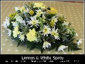 Lemon & White Spray